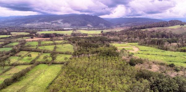 Forest corridors in the Turrialba region, Costa Rica © Christian Brenez, CATIE